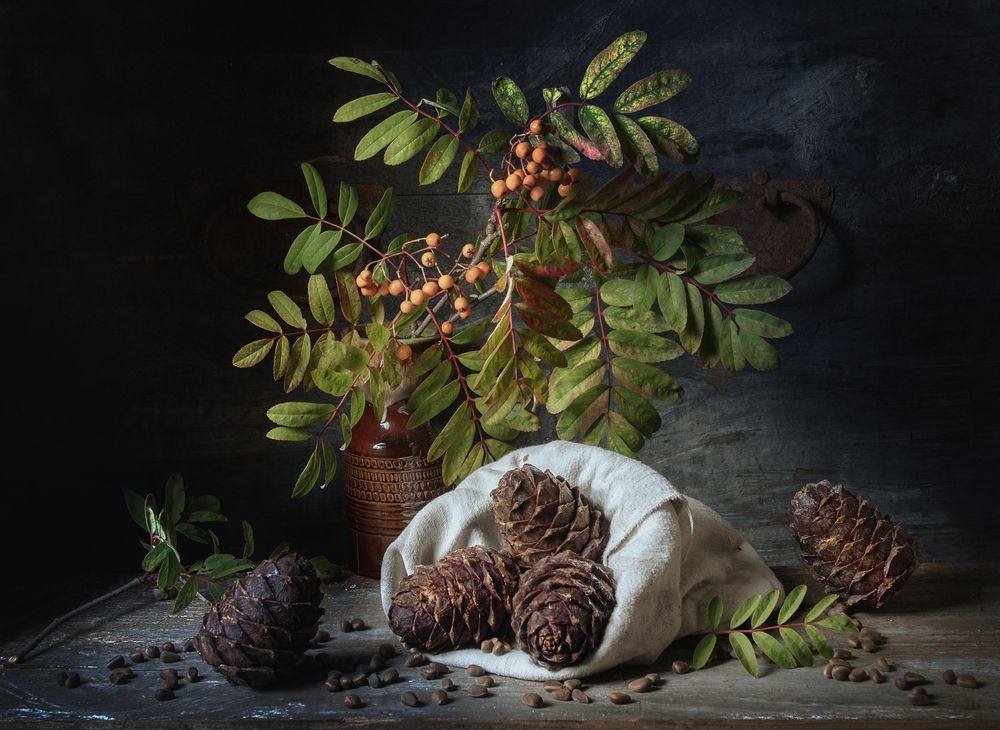 Натюрморт с кедровыми шишками и рябиной