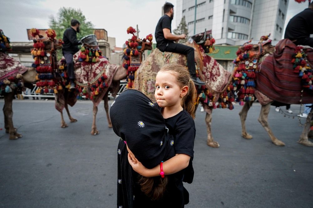 Photograph by Seyed taha Mosavi
