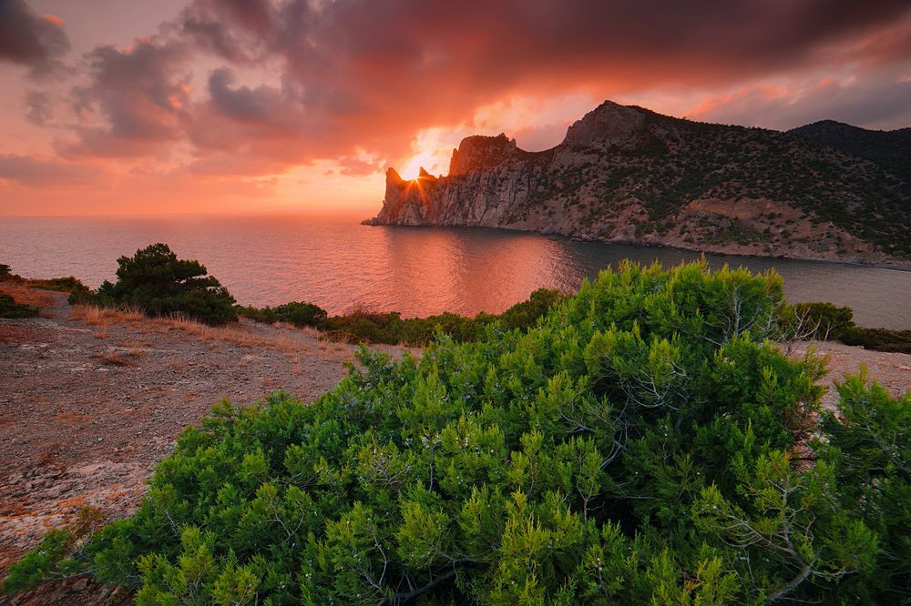 Photograph by Евгений Гонтов