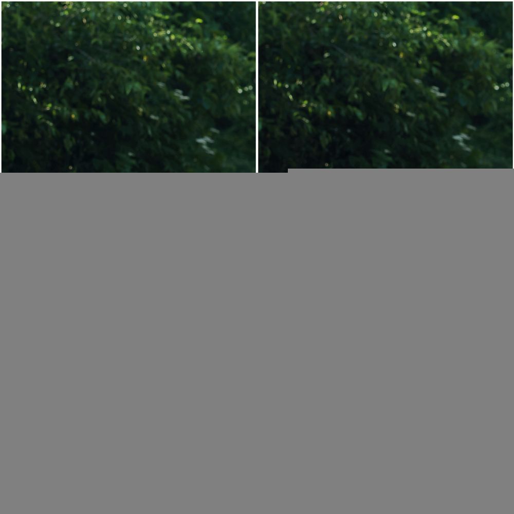 Фотография автора Елена Кириллова