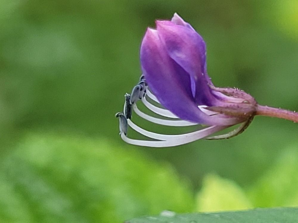 Photograph by Md Millat Islam
