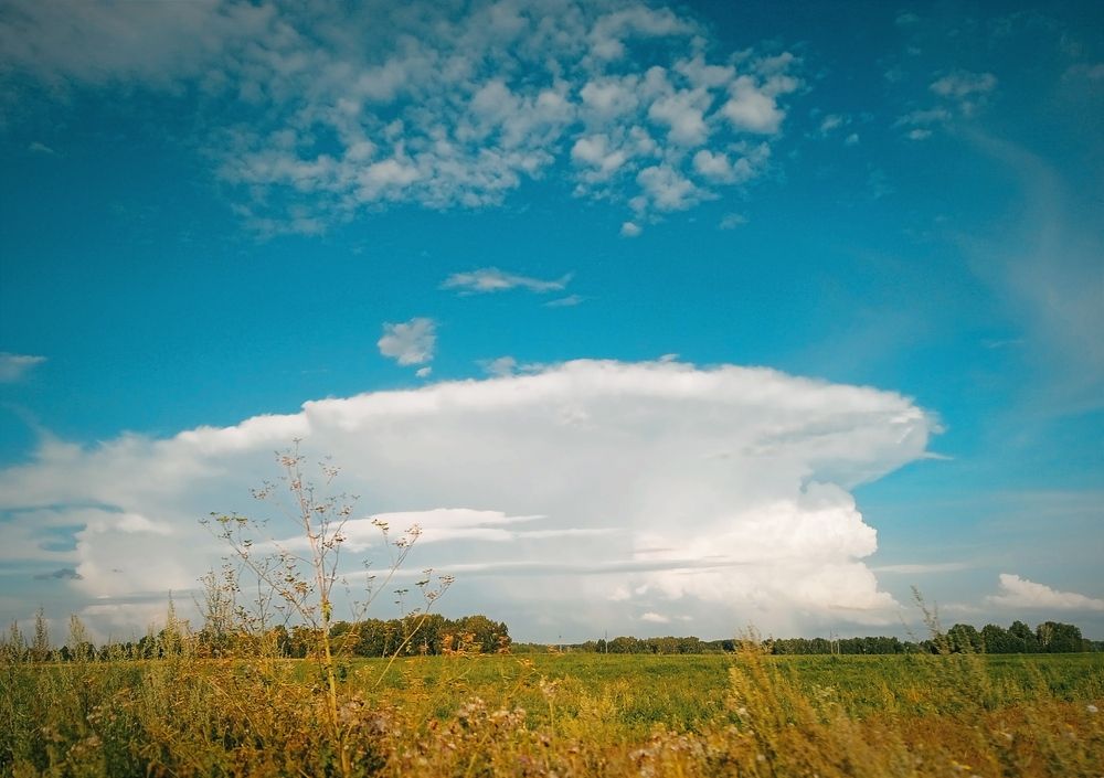 Photograph by Нина Мехнина
