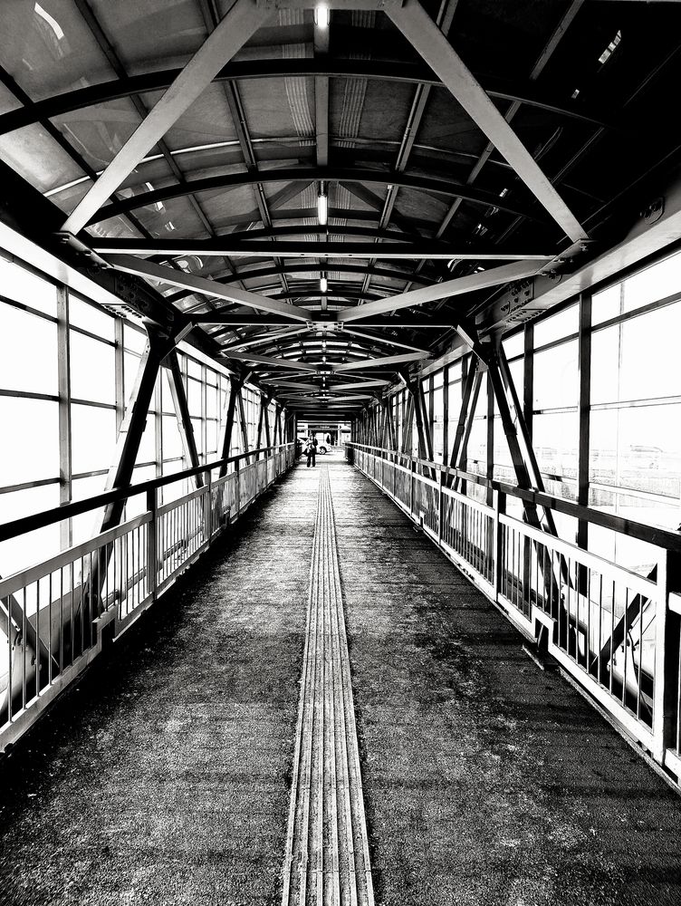 Photograph by Olena Chertous