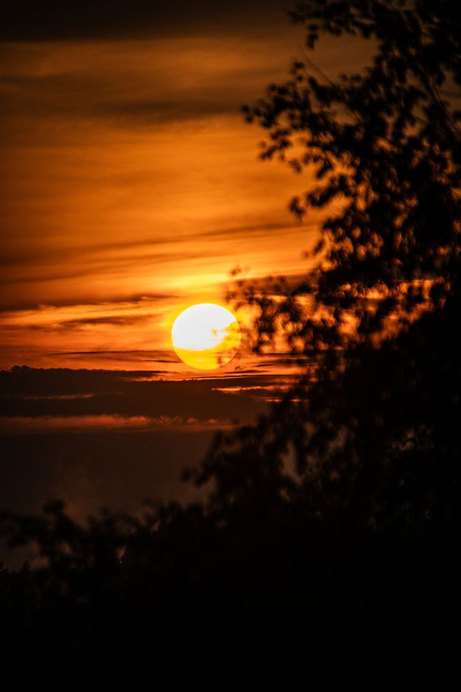 Photograph by Дмитрий Бортников