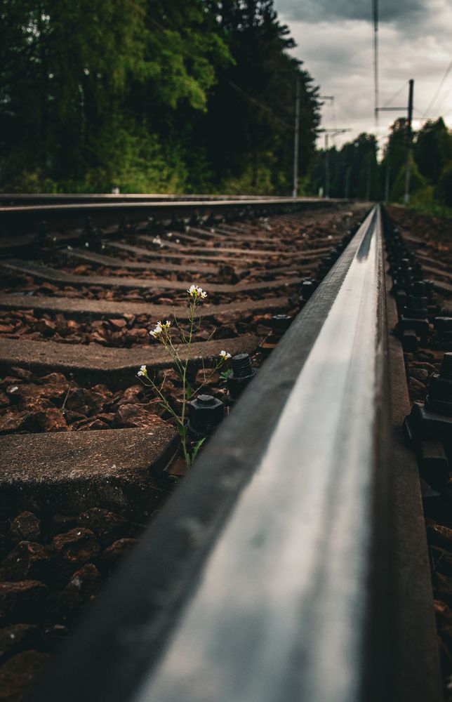 Photograph by Ольга Амосова