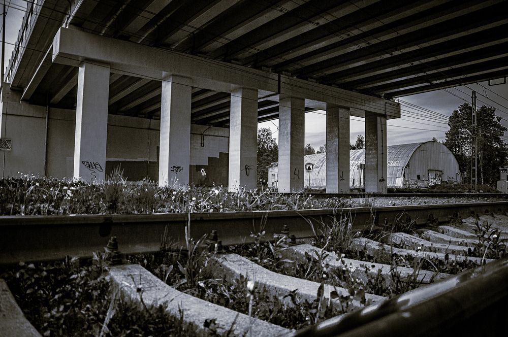 Photograph by Ольга Амосова