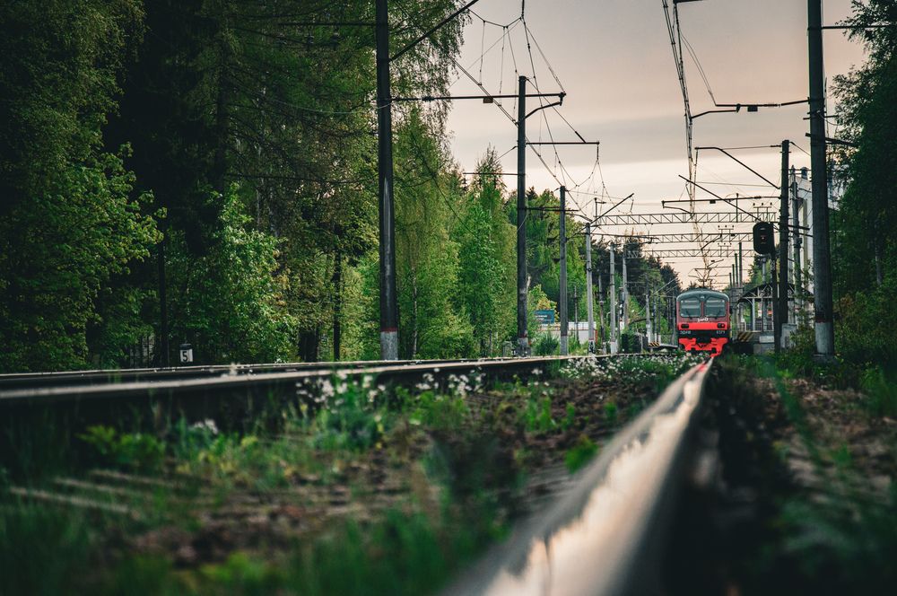 Photograph by Ольга Амосова