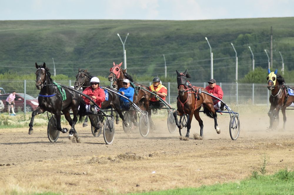 Photograph by Шулунова Стелла