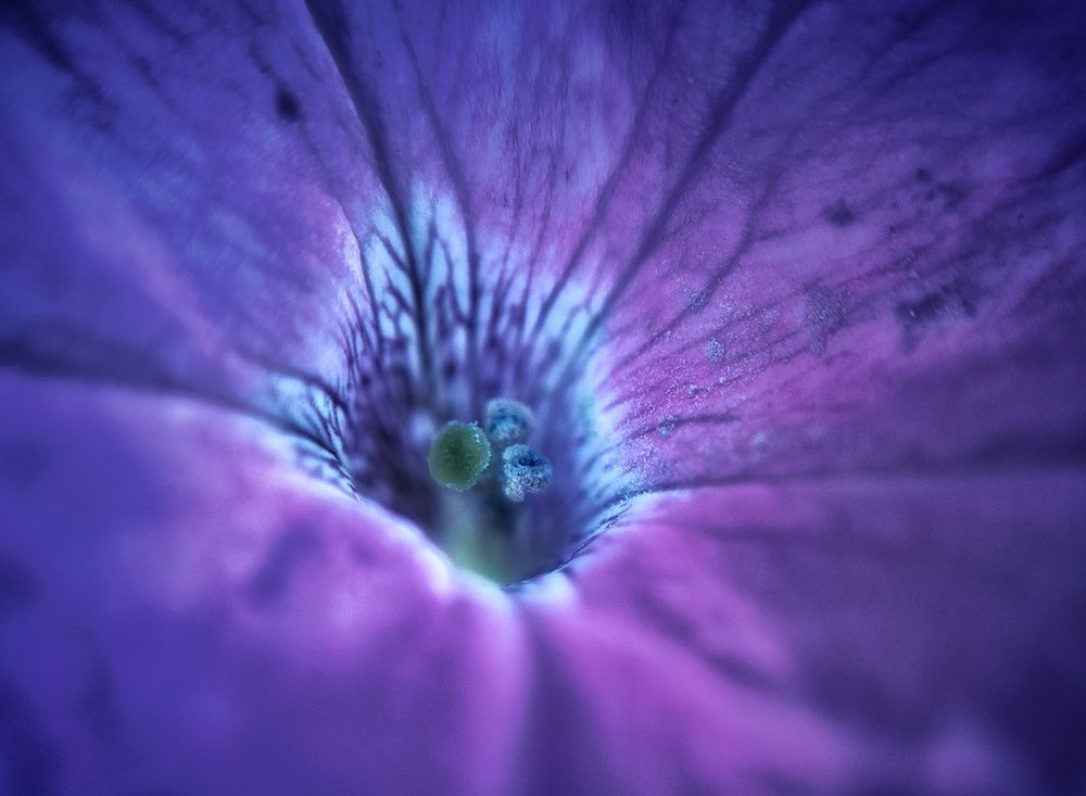 Photograph by Сергей Зайцев