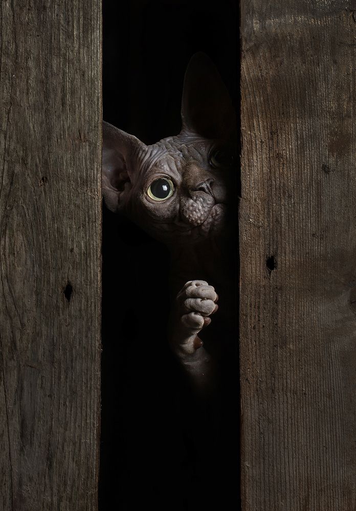 Photograph by Alexander Sviridov