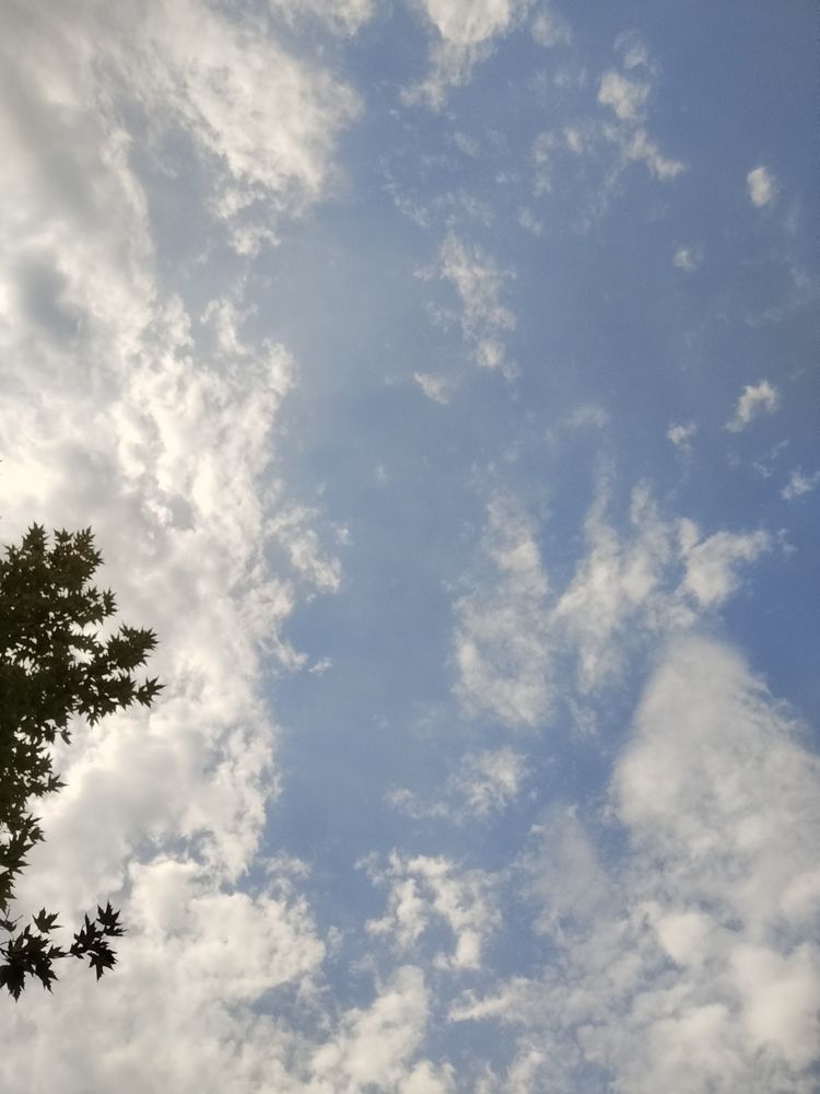 Photograph by Елизавета Слесарева