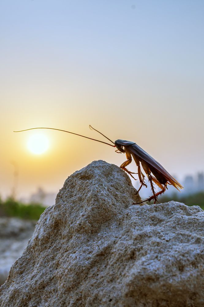 Photograph by Демьян Лопатов