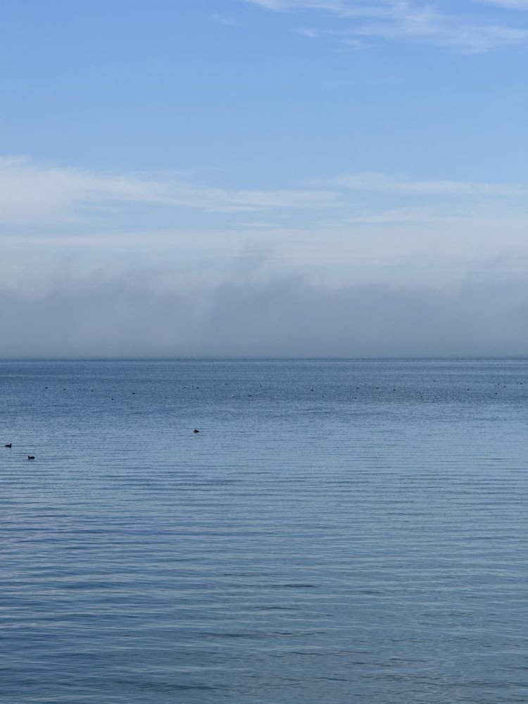 Photograph by Бойкова Наталия