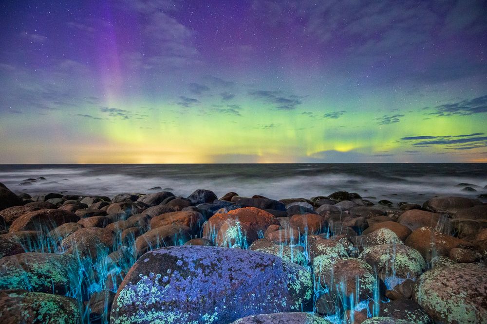 Photograph by Andres Papp