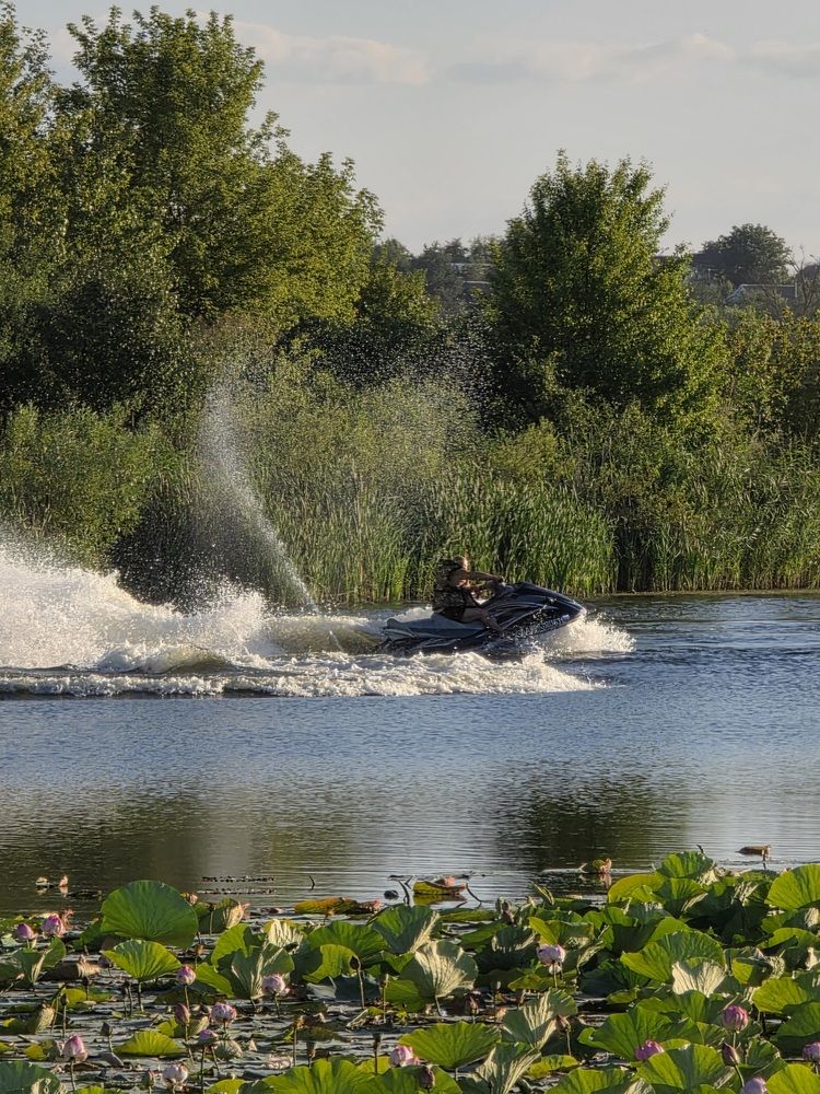 Photograph by Куделенко Оксана