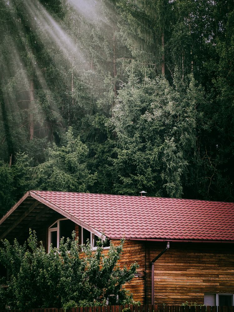 Photograph by Олег Богданович