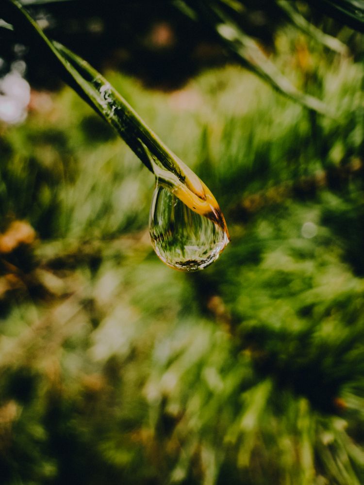 Photograph by Евгений Беляев