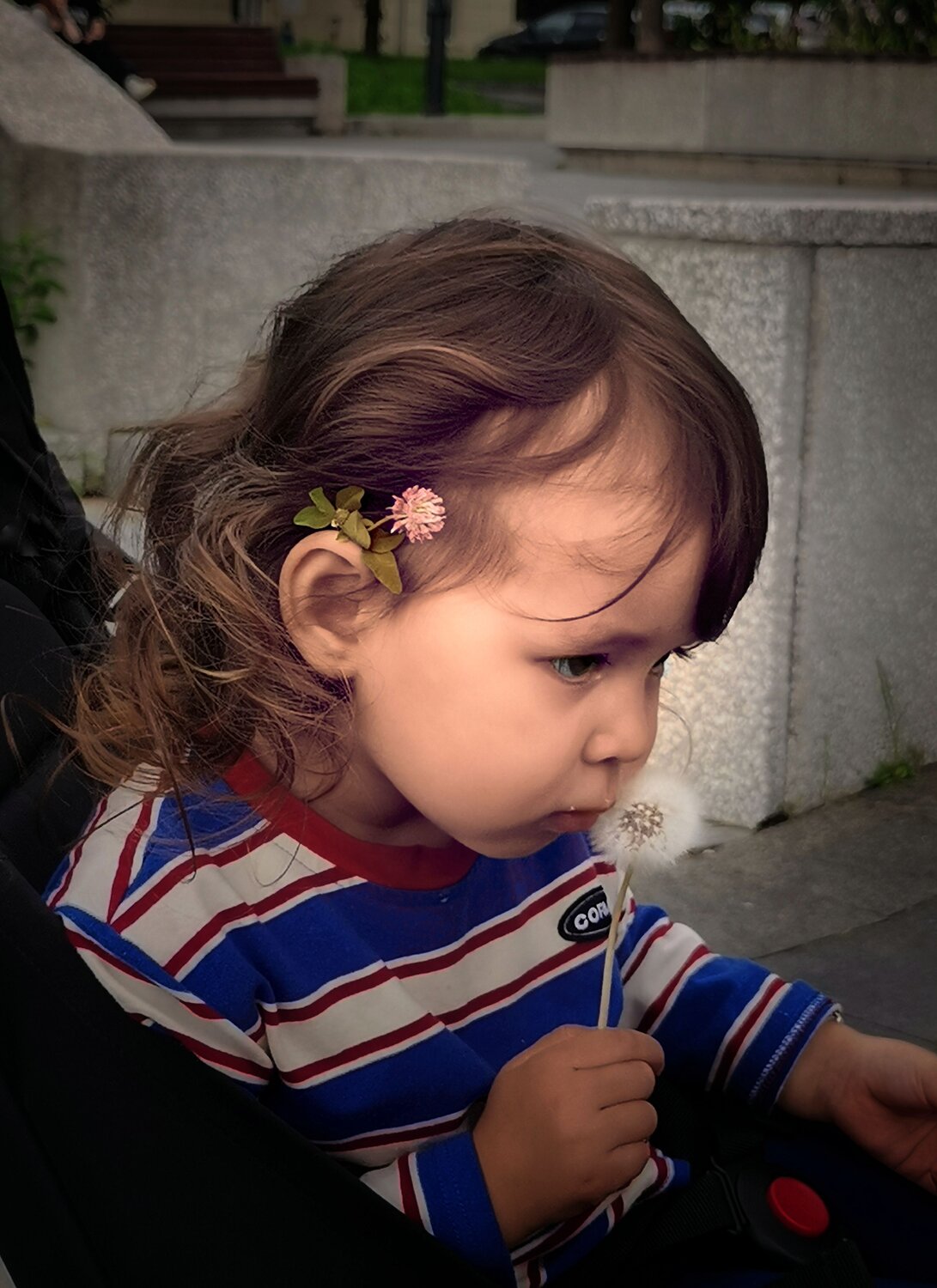 Photo #12420151