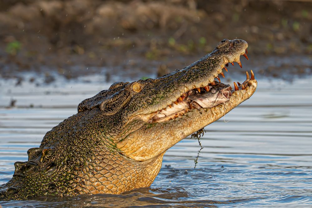 Photograph by Fabio Müller