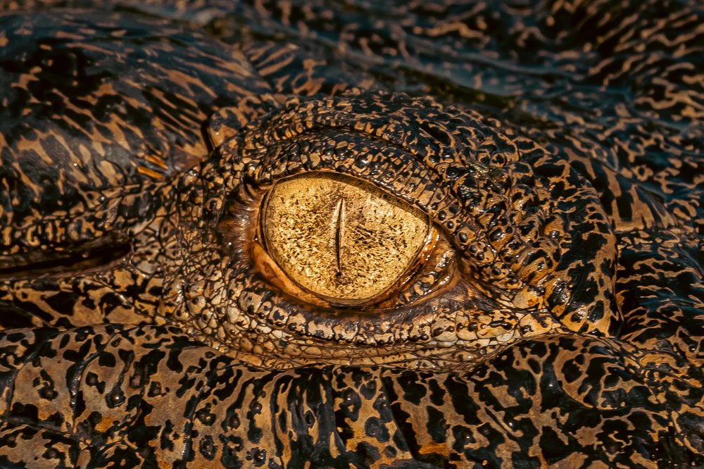 Photograph by Fabio Müller