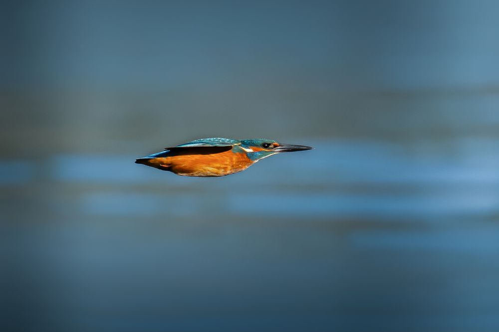 Photograph by Fabio Müller