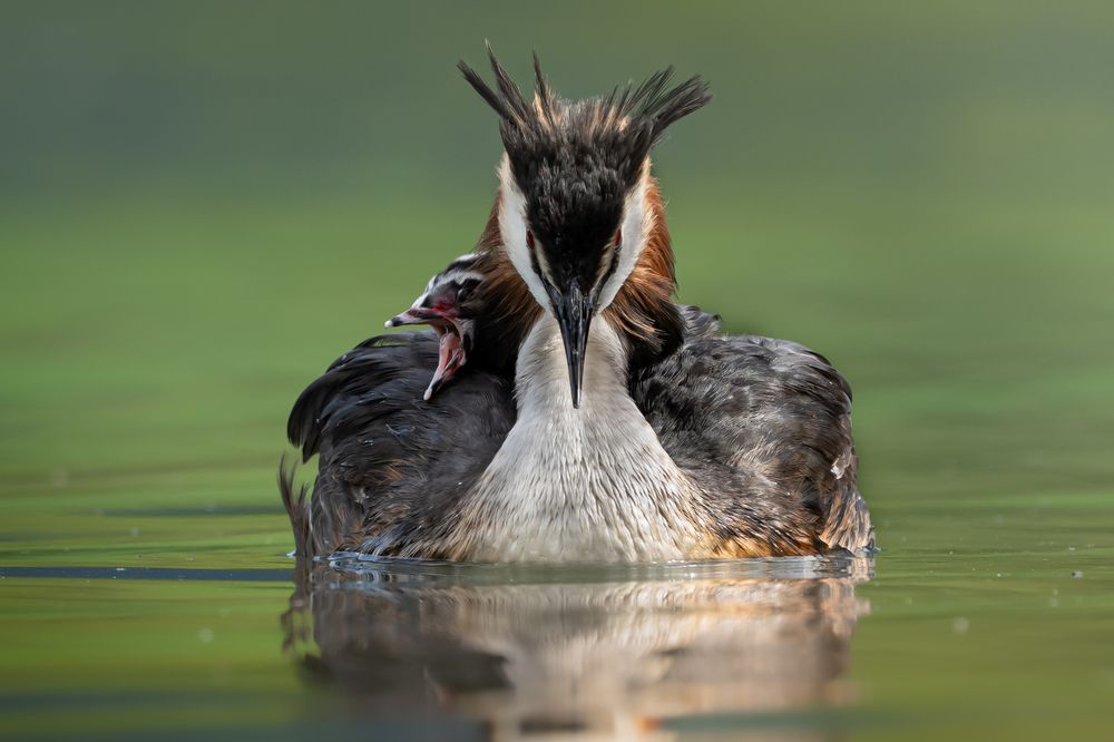 Photograph by Fabio Müller