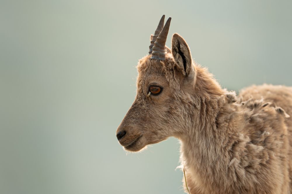 Photograph by Fabio Müller