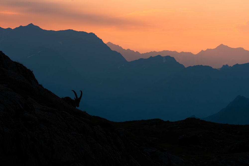 Photograph by Fabio Müller