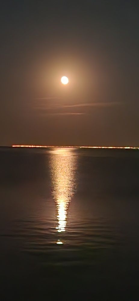 Photograph by Фаина Богун