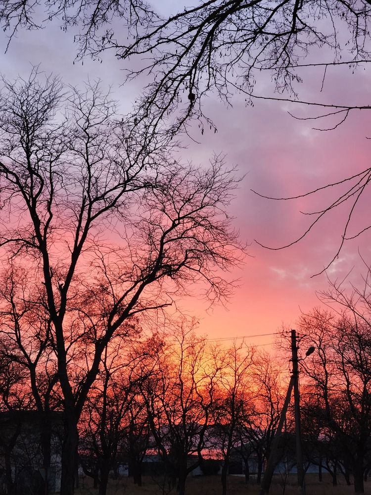 Photograph by Фаина Богун