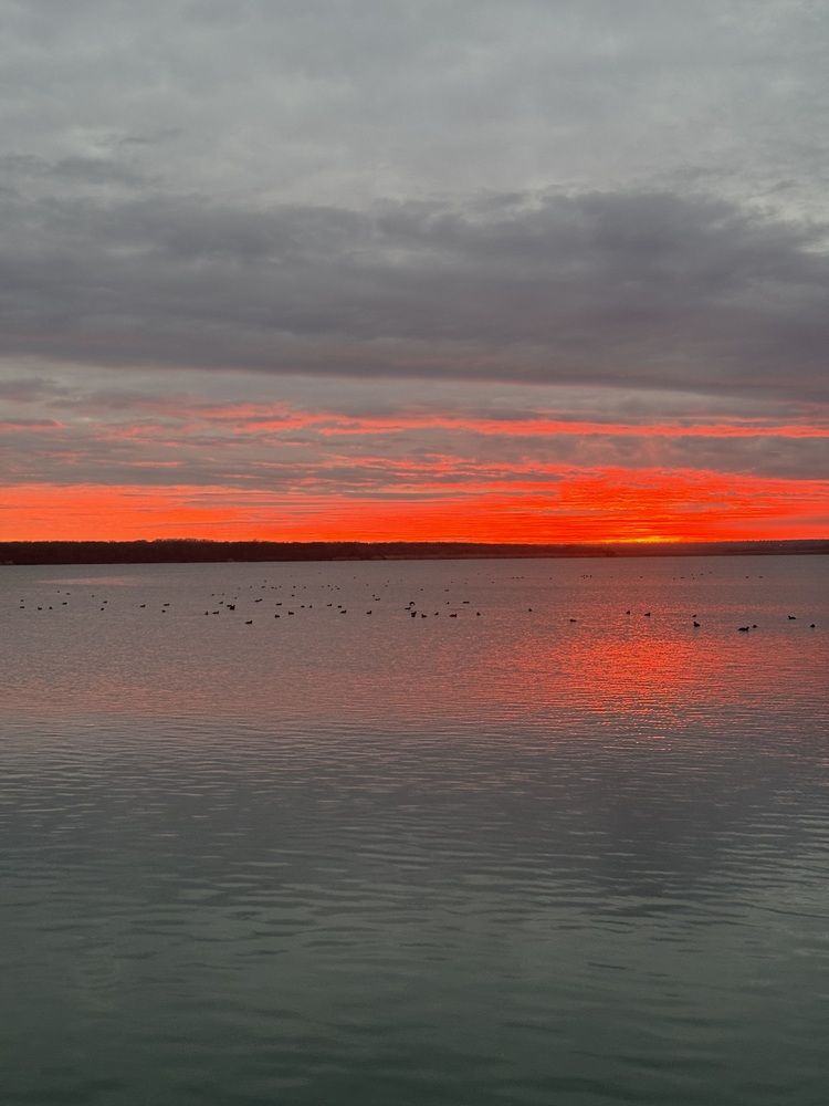 Photograph by Бойкова Наталия