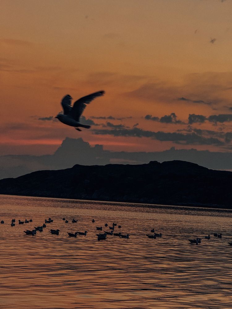 Фотография автора Komarov Svyatoslav