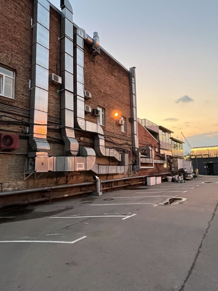 Фотография автора Виктория Ляпина