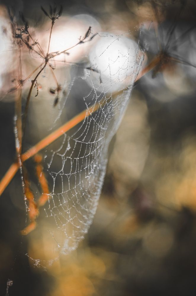 Photograph by Любовь Бусова