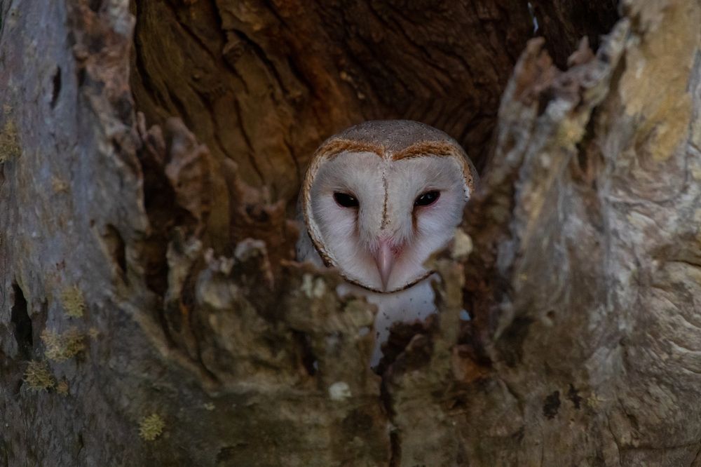 Photograph by B.Nivarthana Anuruddha