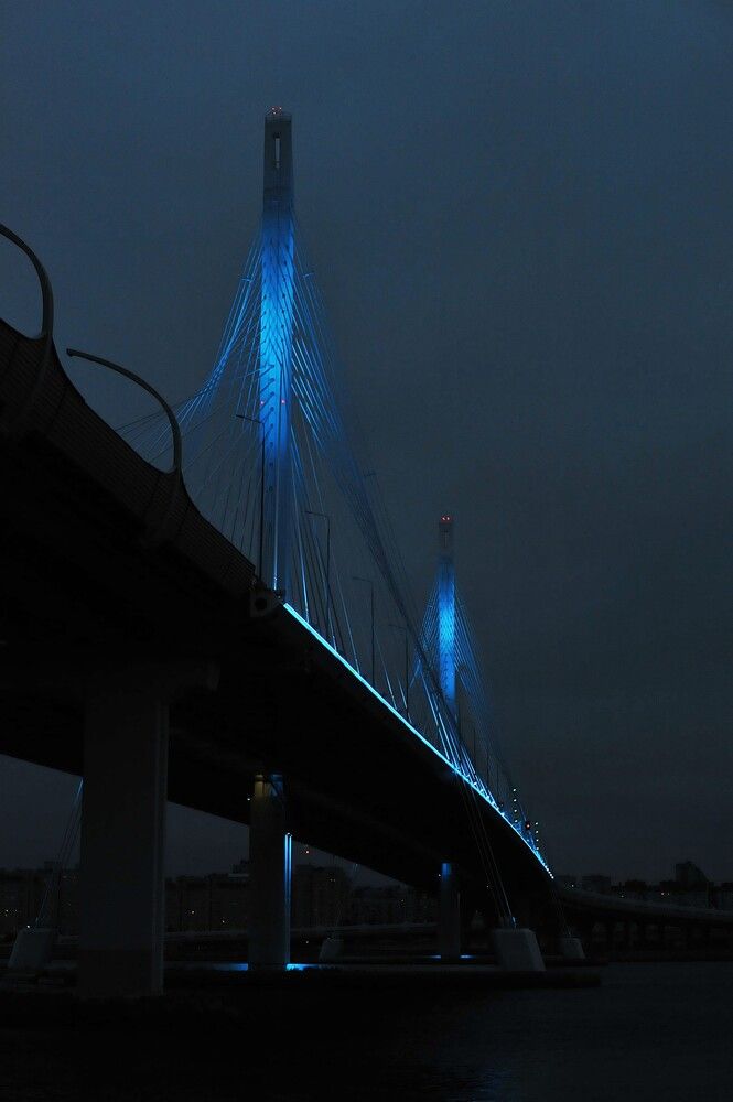 Фотография автора Ольга Пушленкова