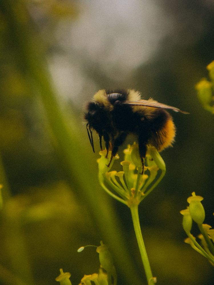 Photograph by Алёна Горошко
