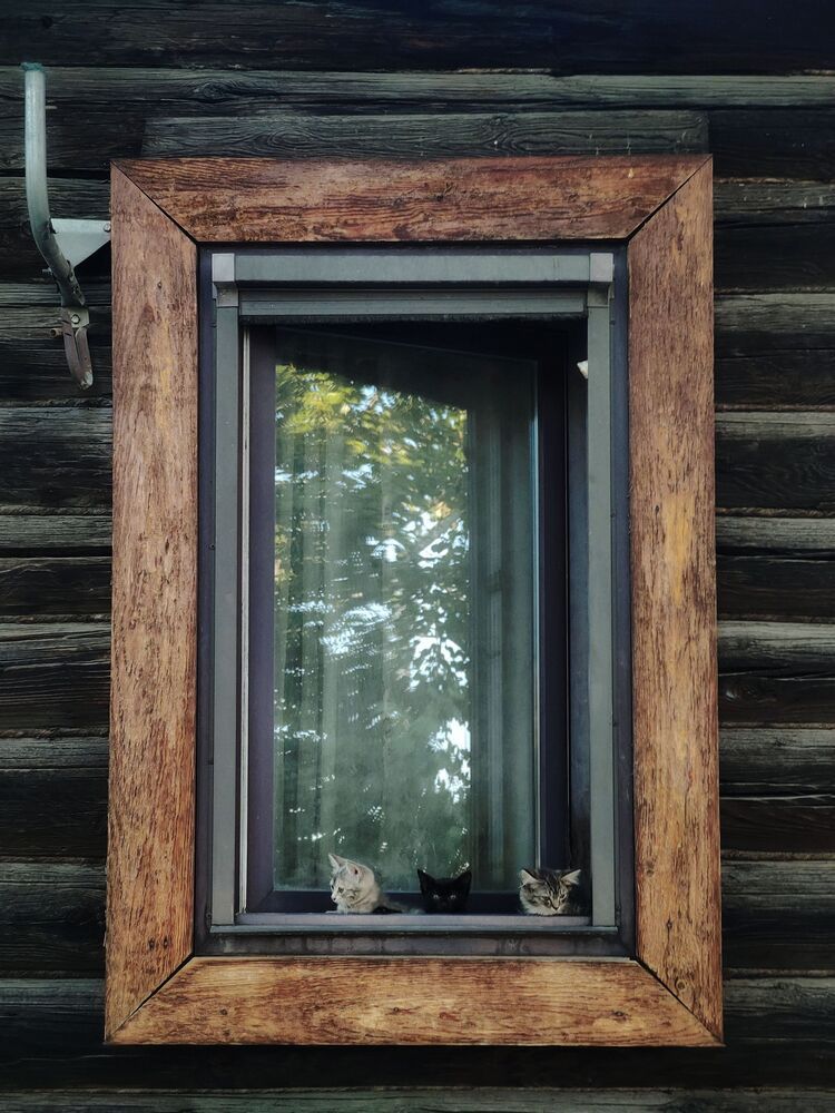 Фотография автора Демьян Стрельцов