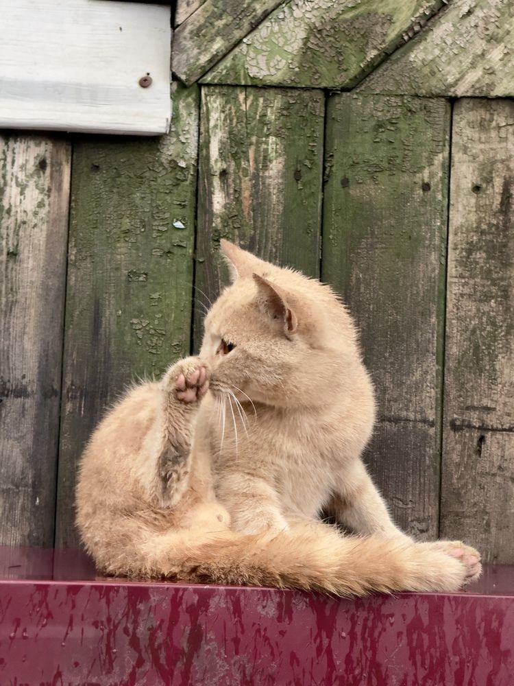 Photograph by Дмитрий Бобровский