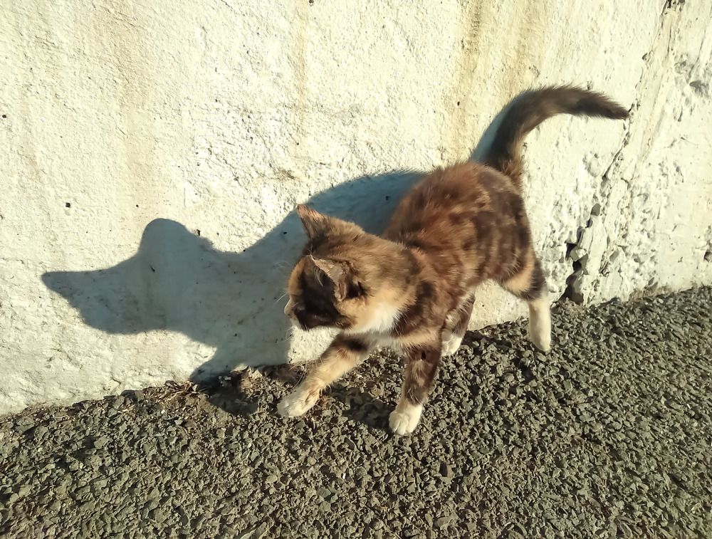 Photograph by Михаил Мархинин