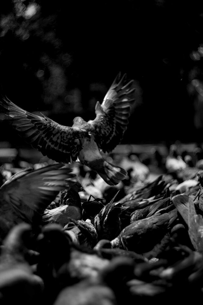 Photograph by Турар Давильбеков