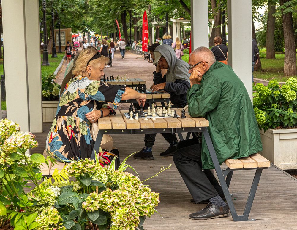 Photograph by Vladimir  Komarov