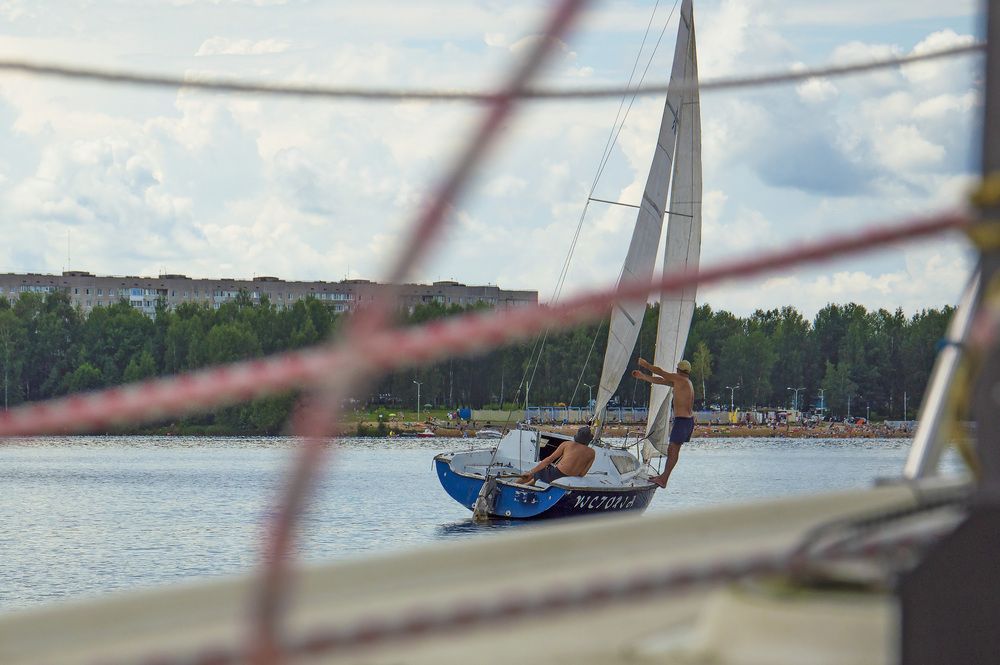 Фотография автора Елена Максимова