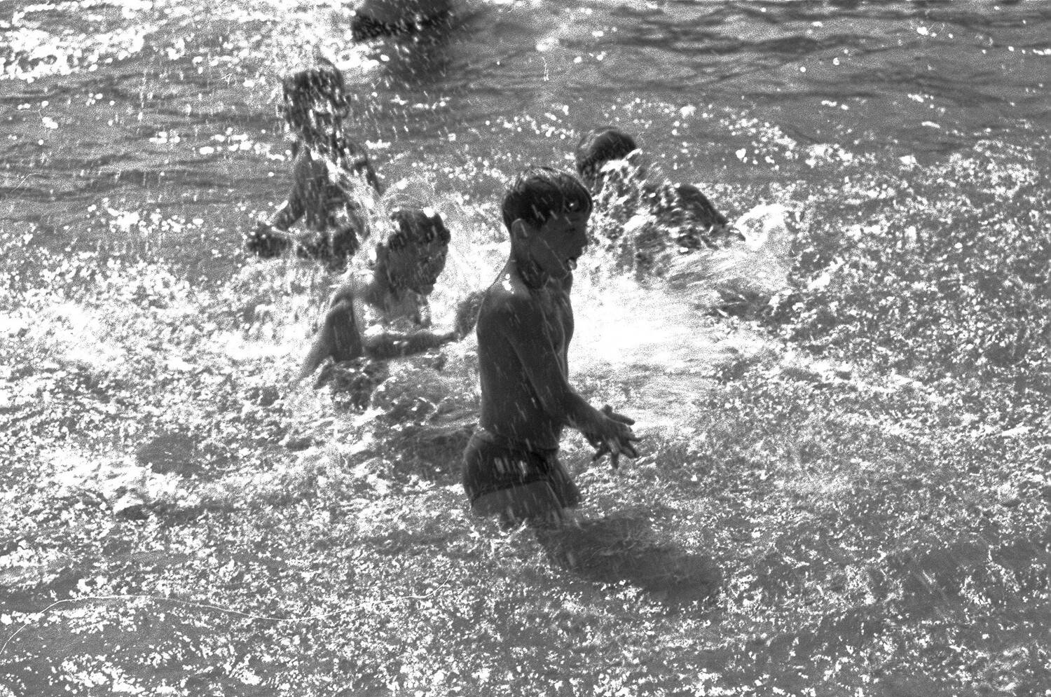 Photo #12421000