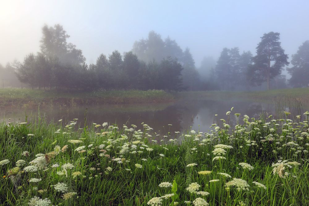 Фотография автора Ivanova Inga