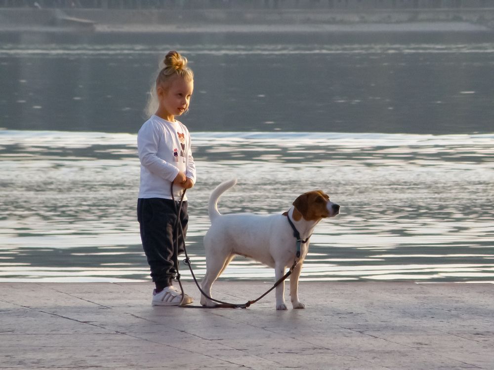 Фотография автора Angelo Dolci