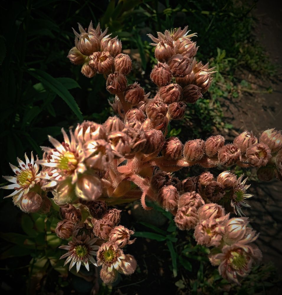 Photograph by Нина Мехнина