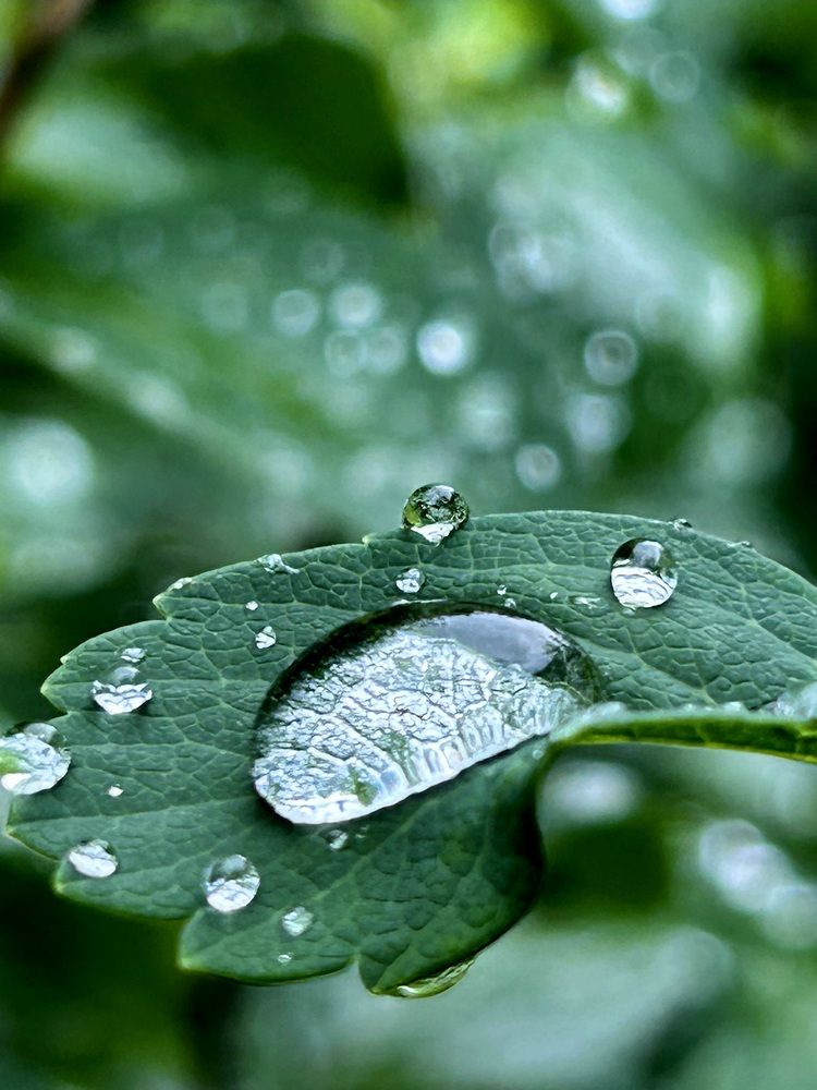 Photograph by Ольга Евтухова