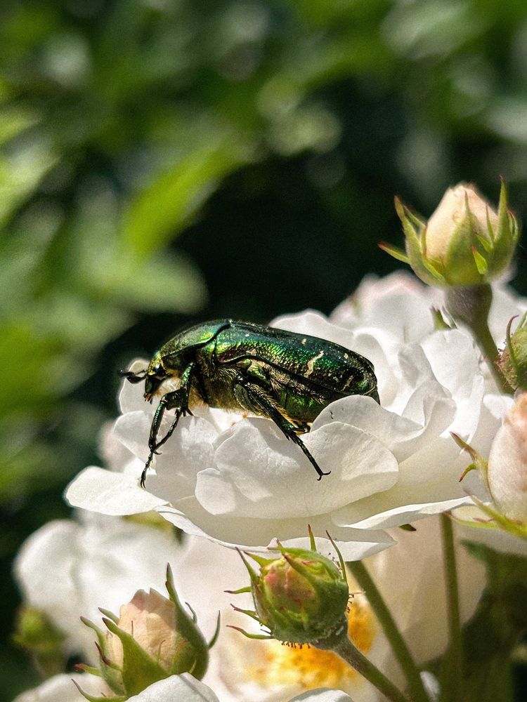 Photograph by Аруза