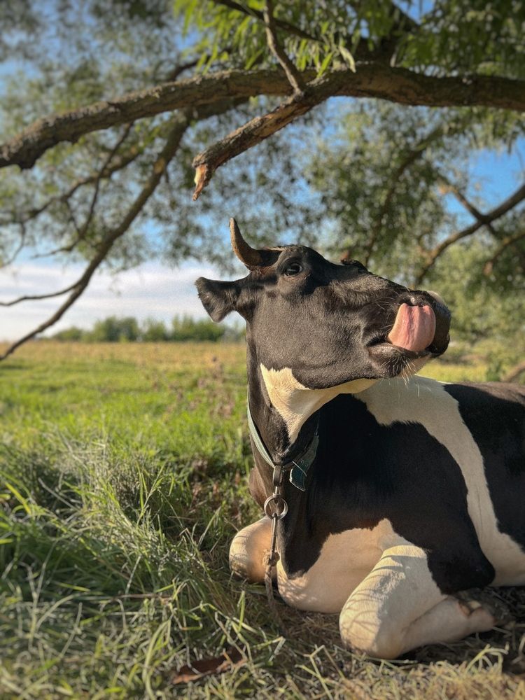 Photograph by Аруза